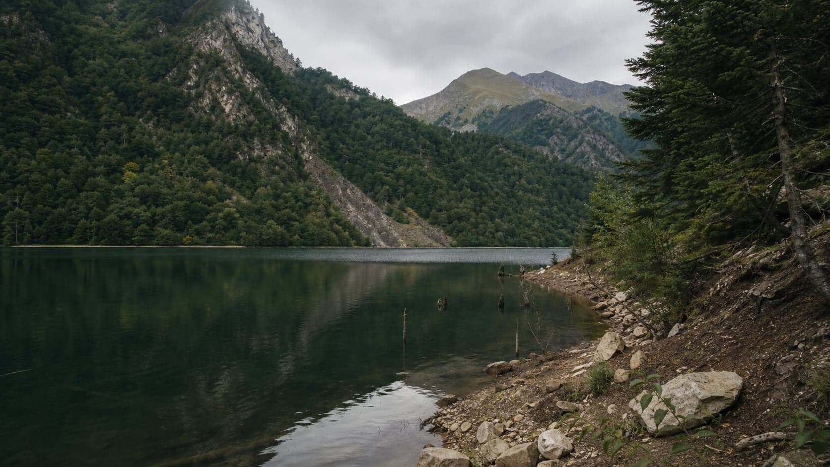 Озеро Амткел: тёмная горная вода, лесистые склоны и затопленные стволы у берега.