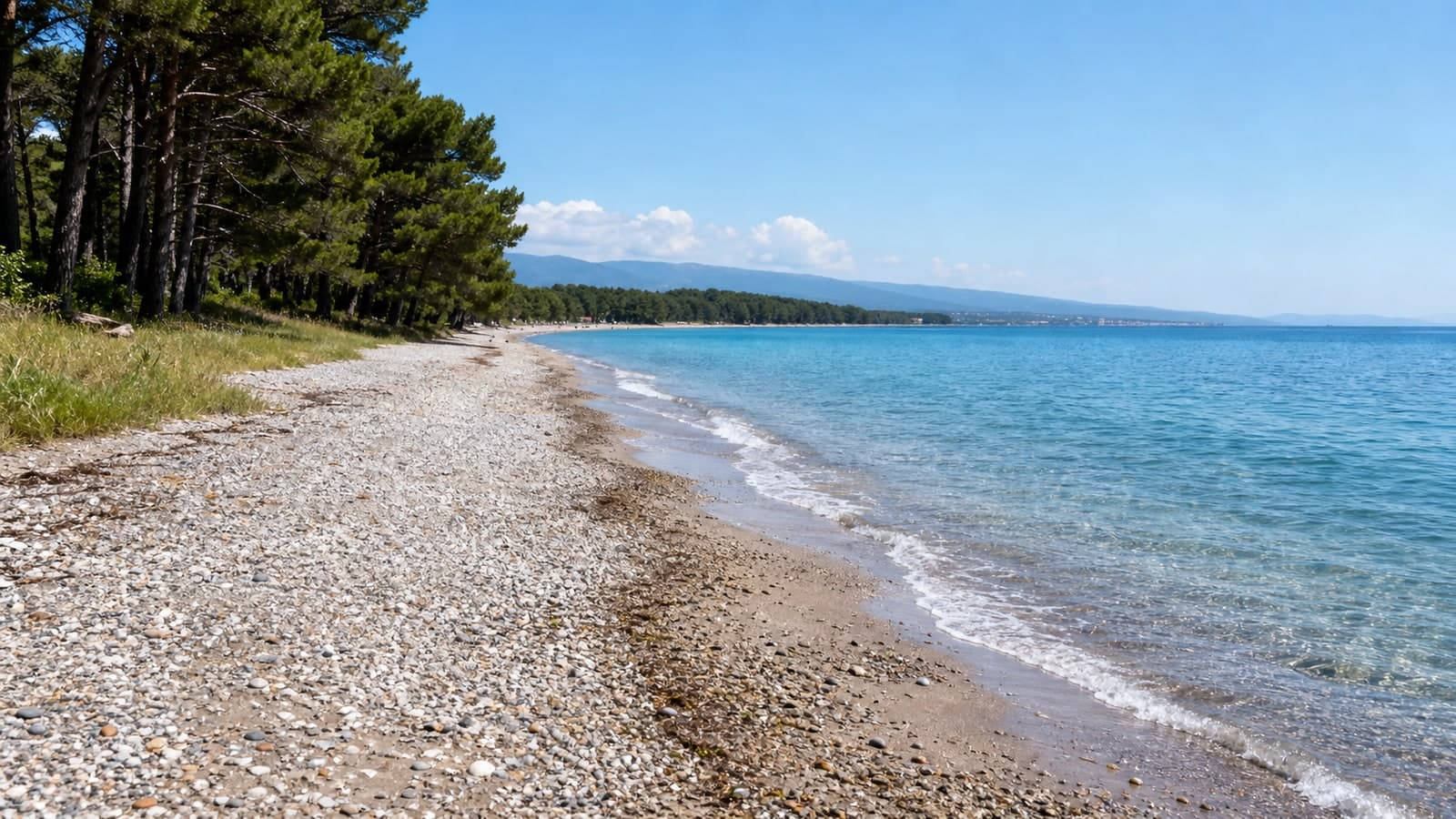 Пляж Лдзаа: мелкая галька, светлый песок, чистая вода и сосновая тень у Пицунды.
