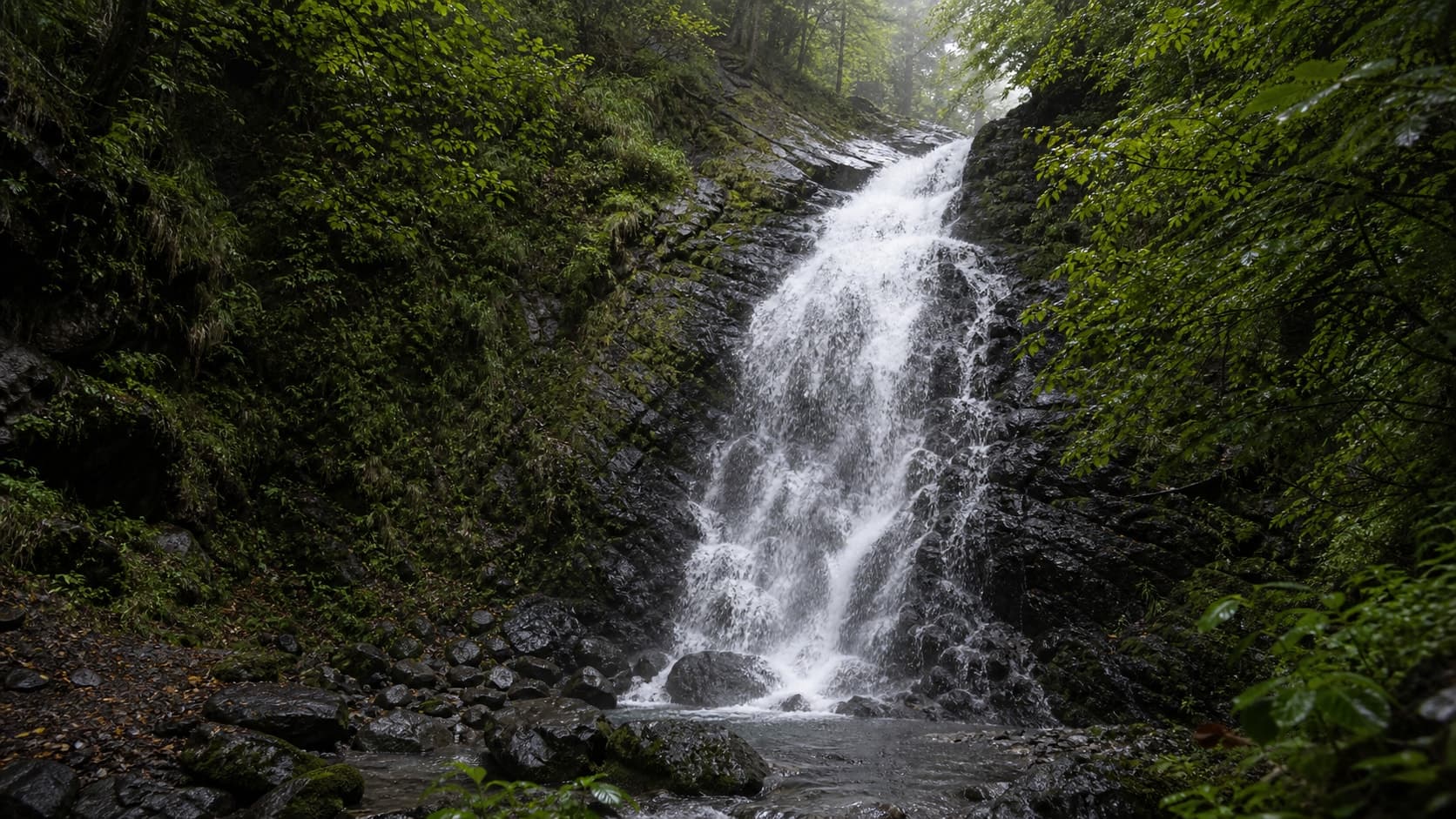 Молочный водопад: белая пенная вода, тёмный мокрый камень и влажный лес.